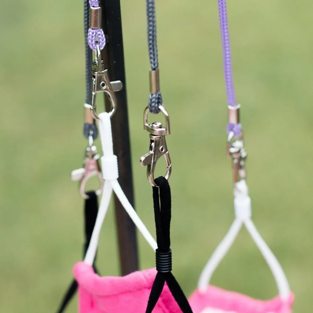 Mask lanyard